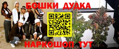 индика Аргун