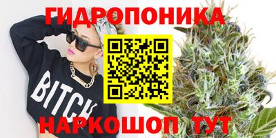 СК Апрелевка